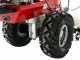 Eurosystems P 70 EVO - Motofalciatrice multifunzione rotativa - Loncin 224 OHV