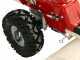 Eurosystems P70 EVO - Aspirafoglie a scoppio - Loncin 224 OHV