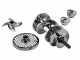 Fimar TC22C - Tritacarne elettrico - Gruppo macinazione in acciaio Inox - 400V
