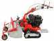 GeoTech-Pro GFM 860 BS-E - Trinciaerba professionale a martelli - B&amp;S XR2100