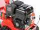 GeoTech-Pro GFM 860 BS-E - Trinciaerba professionale a martelli - B&amp;S XR2100