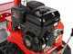 GeoTech-Pro GFM 860 BS-E - Trinciaerba professionale a martelli - B&amp;S XR2100