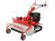 GeoTech-Pro GFM 860 BS-E - Trinciaerba professionale a martelli - B&amp;S XR2100