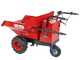 GeoTech-Pro Mini Dumper Car E300 - Motocarriola a batteria 48V 15Ah