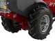 Eurosystems RTT 3 - Motocoltivatore benzina - Brigs&amp;Stratton CR950 - 7HP