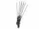 Zanon Albatros PRATIK C/AL 300 - Abbacchiatore con batterie al Litio - 2x (36V-5Ah)
