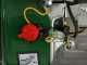 Greenbay GB-WP 50 - Motopompa a scoppio - Raccordi da 50 mm