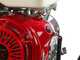 GreenBay GB-WRC 120 H - Biotrituratore a scoppio - Motore Honda GX390
