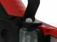 Blue Bird CS 22-06 - Potatore manuale elettrico a batteria - 2 Batterie da 16.8V - 2.5Ah