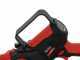 Blue Bird CS 22-06 - Potatore manuale elettrico a batteria - 2 Batterie da 16.8V - 2.5Ah