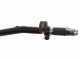 Blackstone CAR 150-P85 - Carriola elettrica a batteria 24V 12Ah