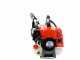 Campagnola GSM Toro Evoluzione K - Asta fissa da 330 cm - Scuotitore a scoppio con gancio 