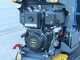 EuroMech EM500L-Dump - Motocarriola cassone dumper idraulico 500Kg - Cambio idrostatico