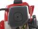 Blue Bird TJ 45 E I - Decespugliatore a scoppio 2 tempi - Motore Kawasaki TJ 45 E I