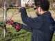 Archman FE03-35 - Forbici elettrica da potatura - 3x 16.8V 4Ah - Diametro di taglio 35mm