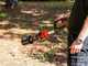 Worx NITRO WG585E - Soffiatore a batteria - 2 batterie 20V 4Ah