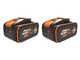 Worx NITRO WG585E - Soffiatore a batteria 2x20V/4Ah + in omaggio 2x20V/4Ah