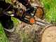Worx WG385E Nitro - Elettrosega a batteria - 2 x 40V 4Ah - Lama da 40cm