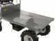 BlackStone BS-CAR 500 E-F - Carriola elettrica a batteria 48V 25Ah con cassone ribaltabile