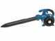 Wortex SFM-T2 - Soffiatore a scoppio motore 2 tempi