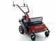 Benassi T603 - Trinciaerba professionali a martelli - Honda GX200