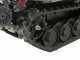 Wortex Beach 270E - Carriola elettrica estensibile a batteria 60V 20Ah