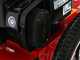 Blue Bird FLO SPEED 7 BS - Trinciaerba a scoppio - Lama e filo - B&amp;S 675EXi
