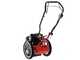 Blue Bird FLO SPEED 7 BS - Trinciaerba a scoppio - Lama e filo - B&amp;S 675EXi