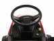 Efco EF 108 L/16 K - Trattorino tosaerba con scarico laterale e taglio mulching