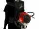 Efco DSF 5500 - Decespugliatore a zaino - Motore Emak