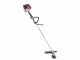 Shindaiwa SDK T252 - Decespugliatore a scoppio