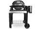 Weber Pulse 2000 - Barbecue elettrico con carrello