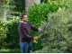 Ryobi RY18HT50A-125 - Tagliasiepi a batteria litio 18V/2.5Ah - Lama da 50 cm 