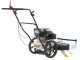 BlackStone WYT 60-173 - Motospazzola con motore a scoppio a spinta