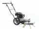 BlackStone WYT 60-173 - Motospazzola con motore a scoppio a spinta