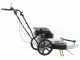 BlackStone WYT 60-173 - Motospazzola con motore a scoppio a spinta