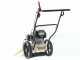 BlackStone WYT 60-173 - Motospazzola con motore a scoppio a spinta