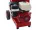 Ceccato Tritone Maxi - Biotrituratore a scoppio - Motore Honda GX 390