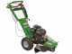GreenBay Deep L-200 - Fresaceppi - Motore Loncin G200F 196 cc - Ruota di taglio con 8 frese in carburo di tungsteno