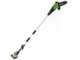 Greenworks G48PS - Potatore su asta di prolunga a batteria 48V -  Batteria 2Ah