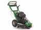 GreenBay Deep LE-330 - Fresaceppi - Motore Loncin 420 cc con avviamento elettrico - Ruota di taglio con 8 frese in carburo di tungsteno