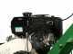 GreenBay Deep BSE-330 - Fresaceppi - Motore B&amp;S XR2100 420 cc con avviamento elettrico - Ruota di taglio con 8 frese in carburo di tungsteno
