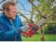 Einhell Fortexxa 18/20 TH - Motosega da potatura a batteria 18V 2.5Ah