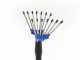 Paterlini V-UP - Abbacchiatore elettrico - 12V - da 2 a 3 metri