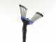 Paterlini V-UP - Abbacchiatore elettrico - 12V - da 2 a 3 metri