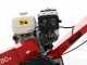 Benassi FR280 - Fresaceppi - Motore Honda GX390  - Rotore a 12 frese