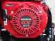 Wortex SFH 300 - Motocarriola cingolata cassone estensibile - Portata 300Kg