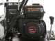 Wortex SFL 300 - Motocarriola cingolata cassone estensibile - Portata 300Kg