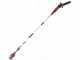 Toro 51847T - Potatore a batteria su asta di prolunga - Batteria 60V 2,5Ah
