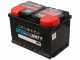 Zanon Olivar Electric AL 300 - Abbacchiatore elettrico a batteria da - Asta telescopica in alluminio 210 - 340 cm